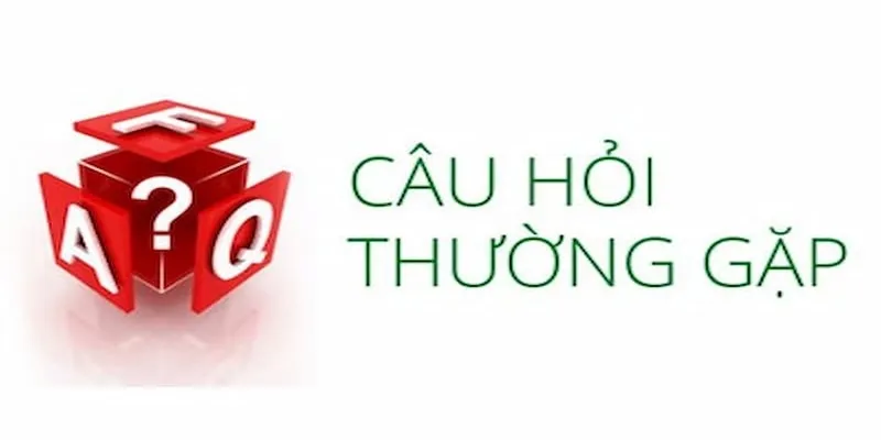 Câu hỏi thường gặp nổi bật nhất tại 99ok