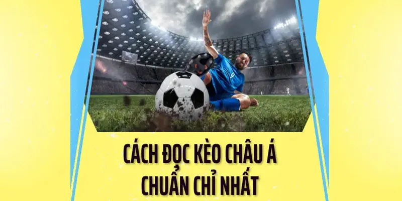 Cách xem những tỷ lệ HDP cơ bản nhất